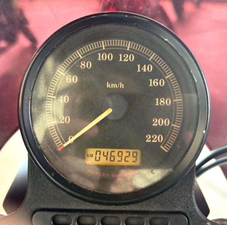 HARLEY DAVIDSON Sportster XL 883 - Foto