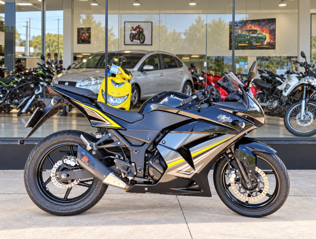 KAWASAKI Ninja 250