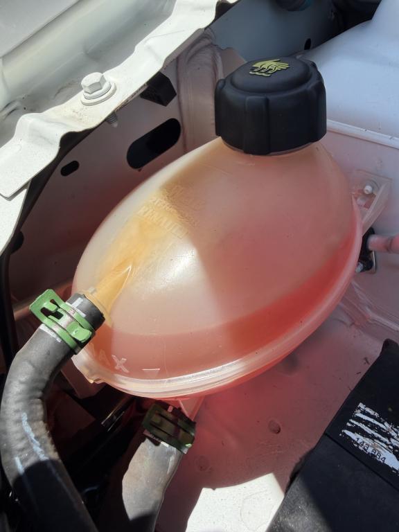 RENAULT Sandero - Foto