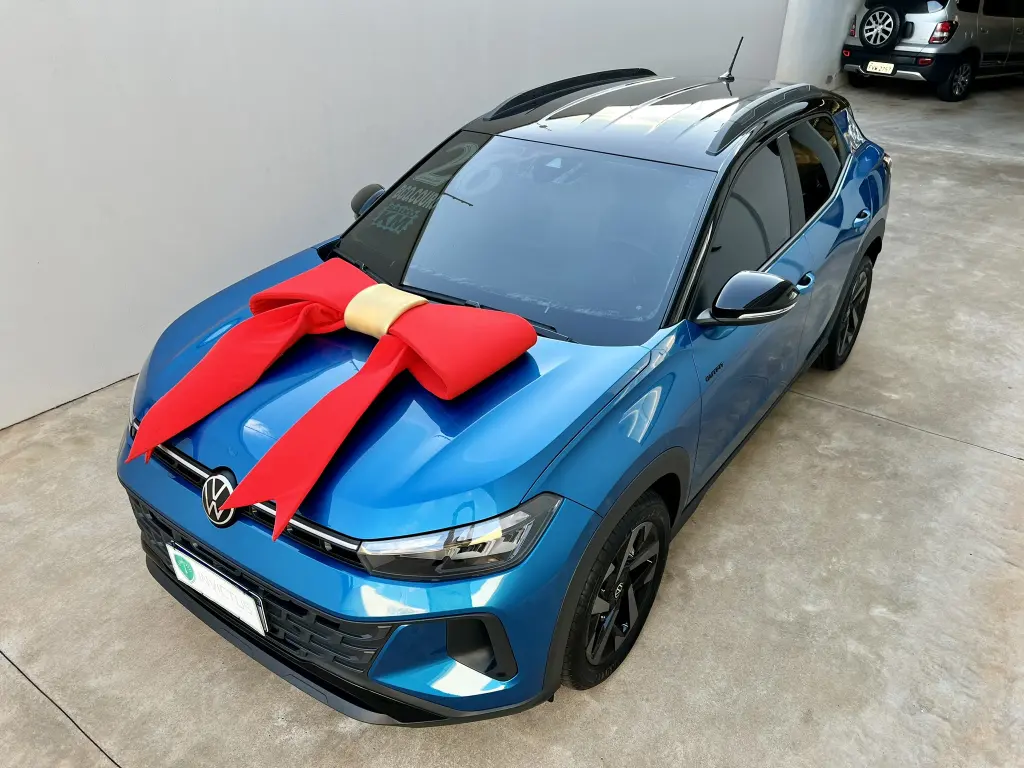 VOLKSWAGEN Tera