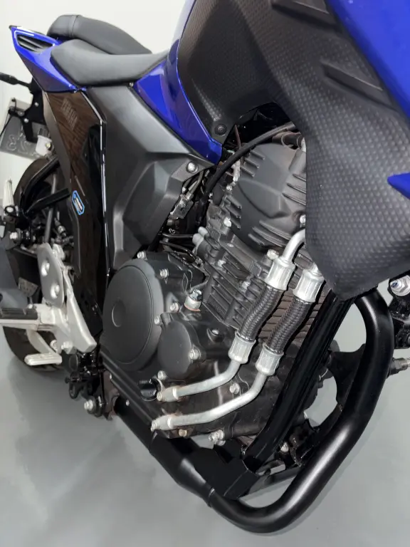 YAMAHA FZ 25 250 Fazer Flex - Foto