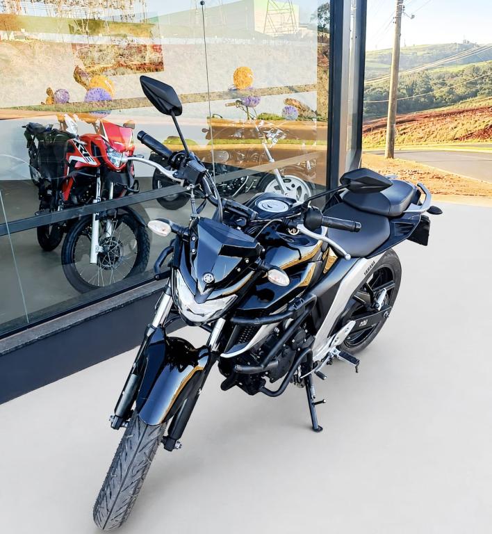 YAMAHA FZ 25 250 Fazer Flex - Foto