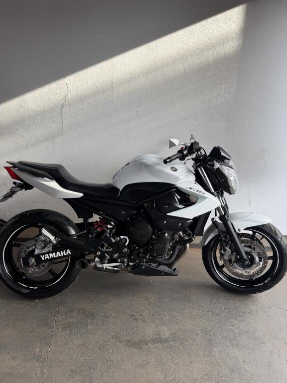 YAMAHA XJ6 600 - Foto