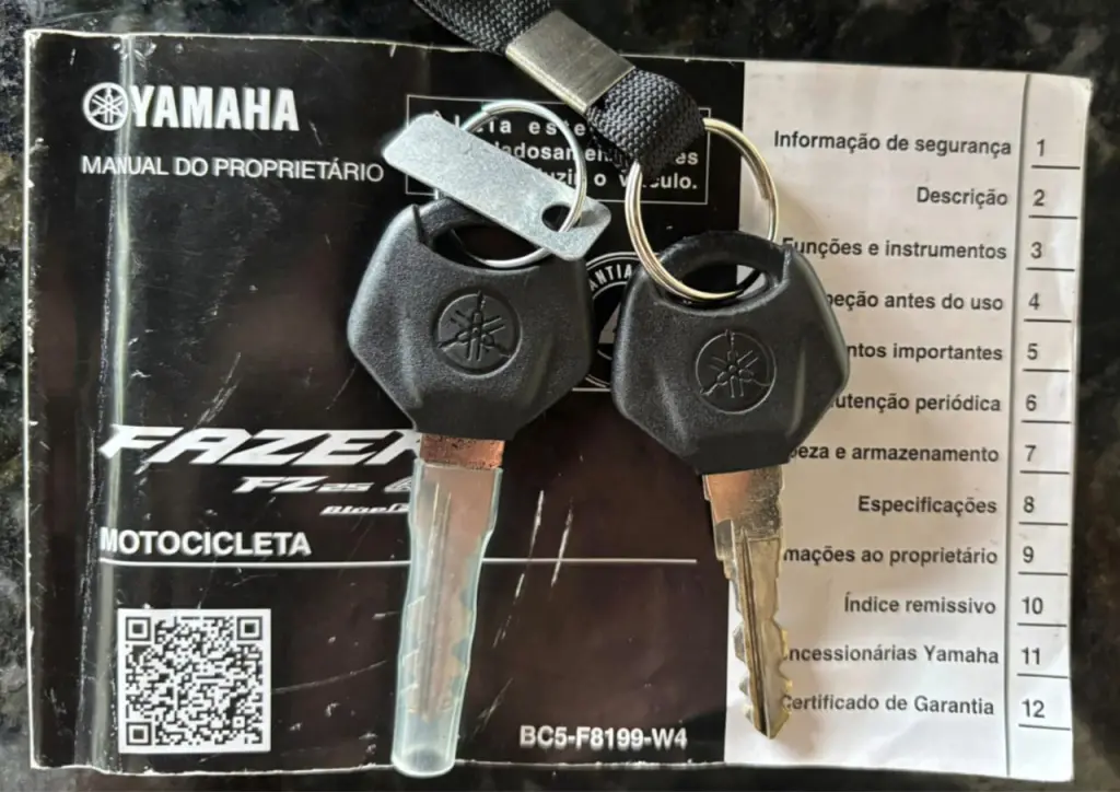 YAMAHA YS Fazer 250 - Foto