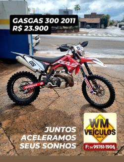G�S G�S EC 300 
