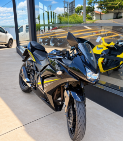 KAWASAKI Ninja 250 R