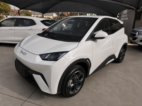 BYD Dolphin Mini 38 KW EL�TRICO GS, Foto 1