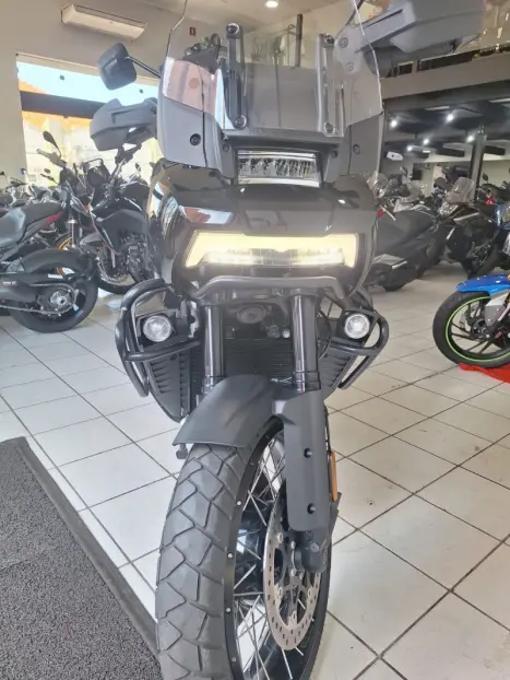 HARLEY DAVIDSON Pan America 1250 , Foto 8