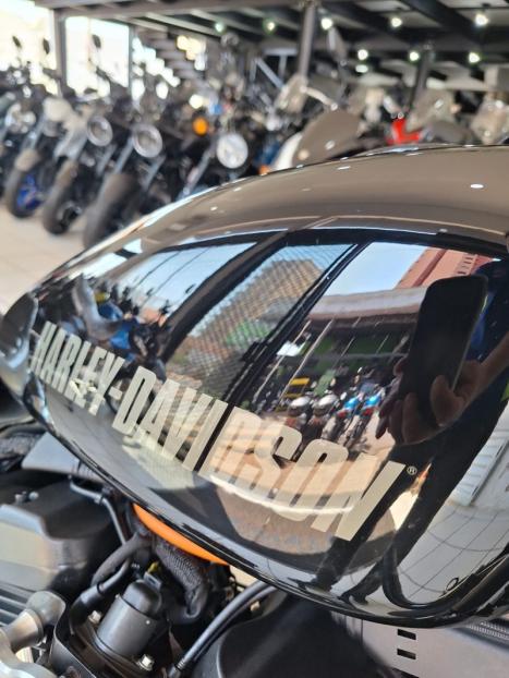 HARLEY DAVIDSON Roadster 1200 , Foto 15