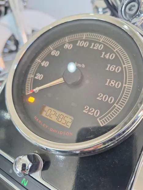 HARLEY DAVIDSON Softail DeLuxe 1600, Foto 3