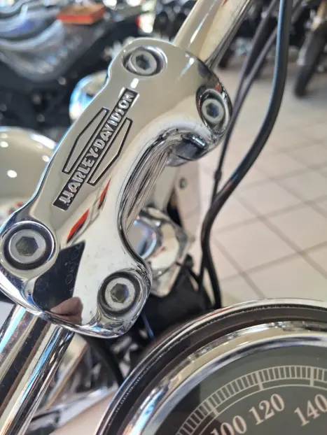 HARLEY DAVIDSON Softail DeLuxe 1600, Foto 9