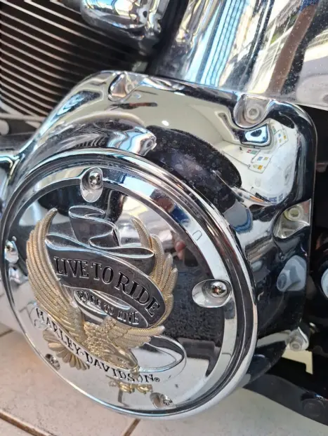 HARLEY DAVIDSON Softail DeLuxe 1600, Foto 14