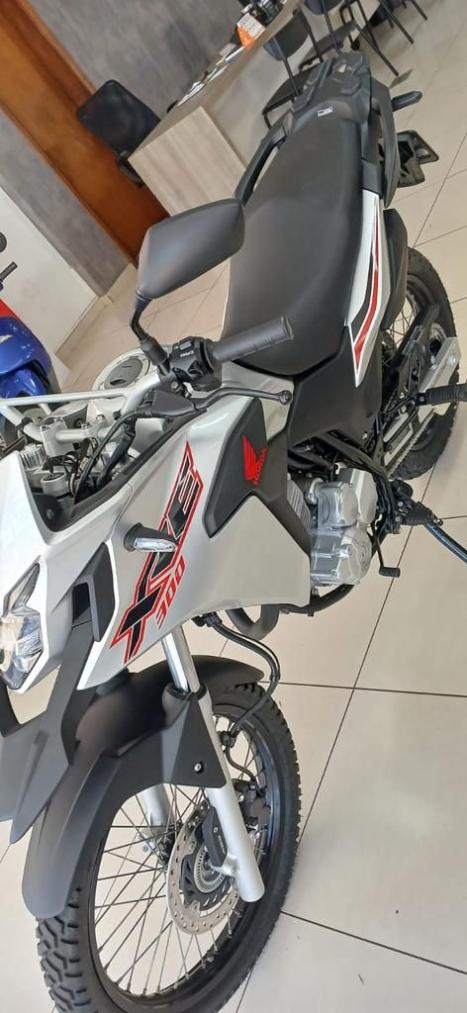 HONDA XRE 300 ABS, Foto 2