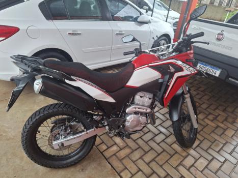 HONDA XRE 300 FLEX, Foto 2