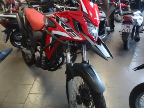 HONDA XRE 300 RALLY ABS, Foto 2