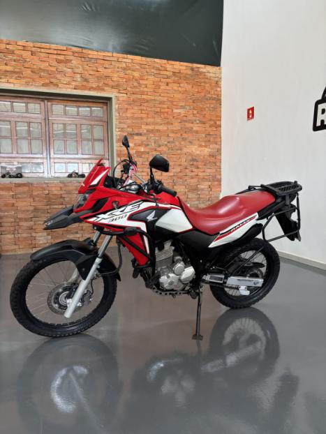 HONDA XRE 300 RALLY ABS, Foto 3