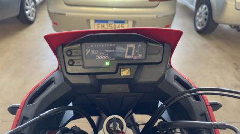 HONDA XRE 300 RALLY ABS, Foto 2