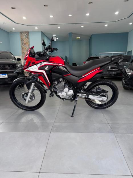 HONDA XRE 300 RALLY ABS, Foto 2