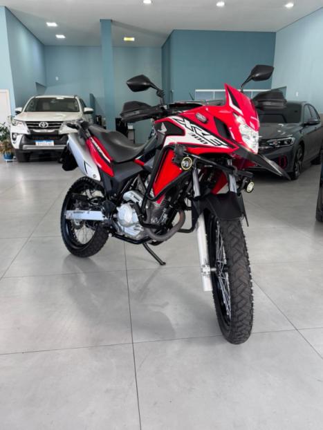 HONDA XRE 300 RALLY ABS, Foto 5