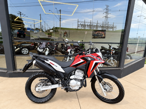 HONDA XRE 300 RALLY ABS, Foto 1