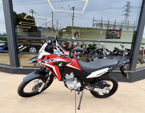 HONDA XRE 300 RALLY ABS, Foto 6