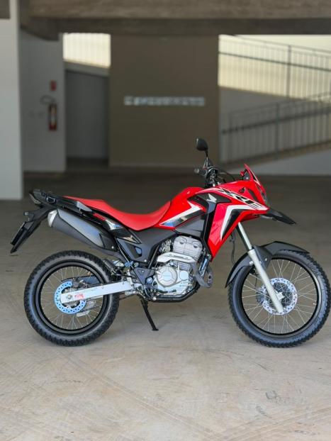 HONDA XRE 300 RALLY ABS, Foto 1