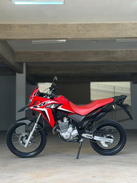 HONDA XRE 300 RALLY ABS, Foto 2
