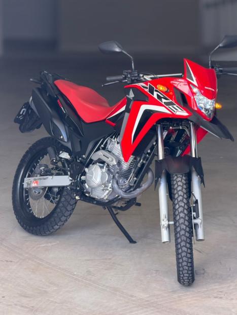HONDA XRE 300 RALLY ABS, Foto 5