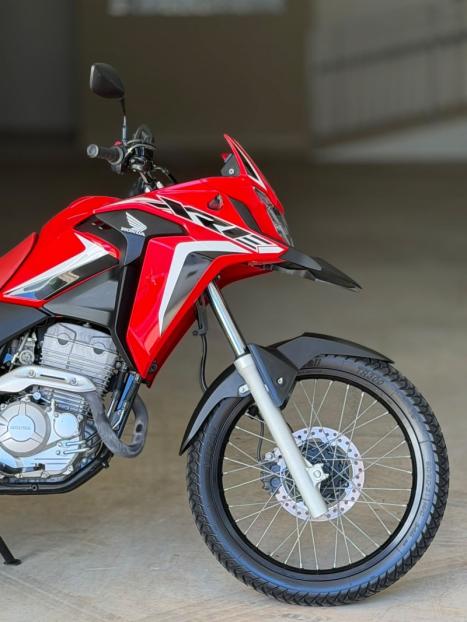 HONDA XRE 300 RALLY ABS, Foto 6