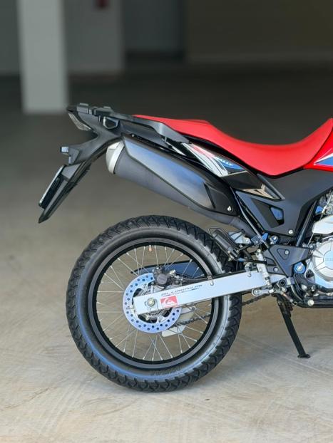 HONDA XRE 300 RALLY ABS, Foto 8