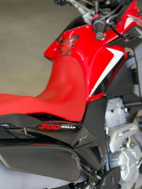 HONDA XRE 300 RALLY ABS, Foto 10