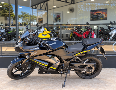 KAWASAKI Ninja 250 R, Foto 3