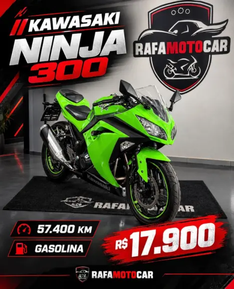 KAWASAKI Ninja 300 , Foto 6