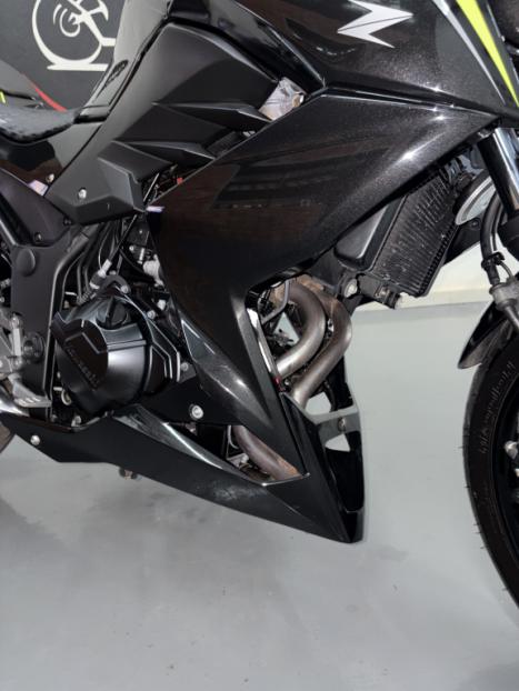 KAWASAKI Z 300 ABS, Foto 3