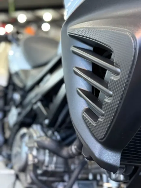 SUZUKI V-Strom DL 650 ABS, Foto 15