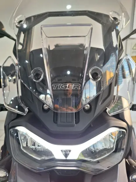 TRIUMPH Tiger 900 GT Pro , Foto 16