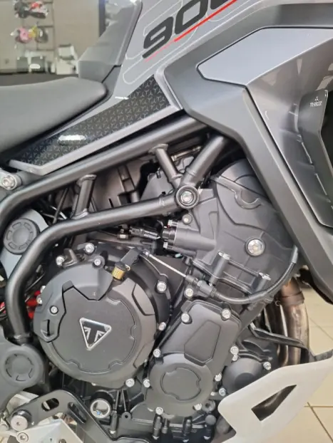 TRIUMPH Tiger 900 GT Pro , Foto 19