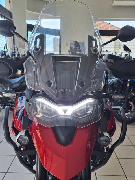 TRIUMPH Tiger 900 GT Pro , Foto 10