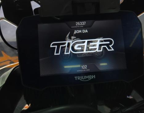 TRIUMPH Tiger 900 RALLY PR�, Foto 10