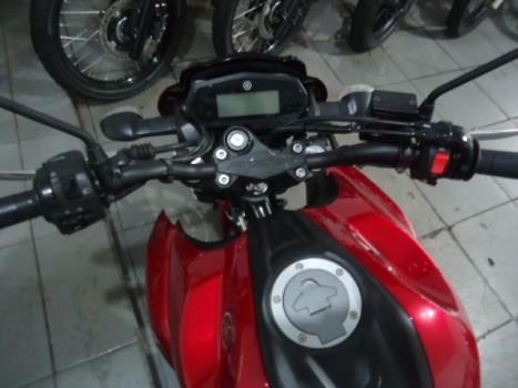 YAMAHA FZ 25 250 Fazer Flex , Foto 3