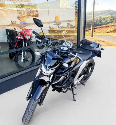 YAMAHA FZ 25 250 Fazer Flex , Foto 2