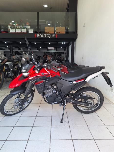 YAMAHA XTZ 250 LANDER, Foto 2