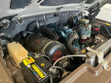 CHEVROLET D20 3.9  S LUXE DIESEL CABINE DUPLA, Foto 8