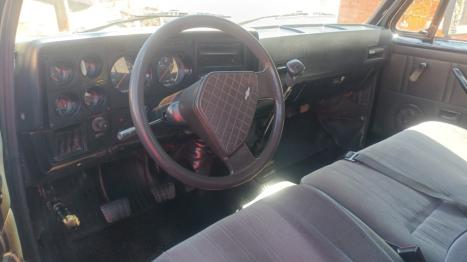 CHEVROLET D20 4.0 4P 4.0 DIESEL CUSTOM DE LUXE CABINE DUPLA, Foto 6