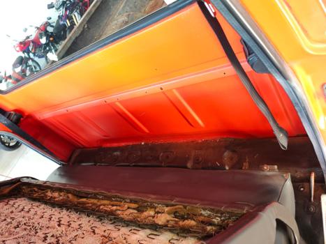 FORD F-100 4.5 V8 CABINE SIMPLES, Foto 25