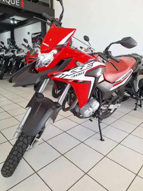 HONDA XRE 300 RALLY ABS, Foto 2