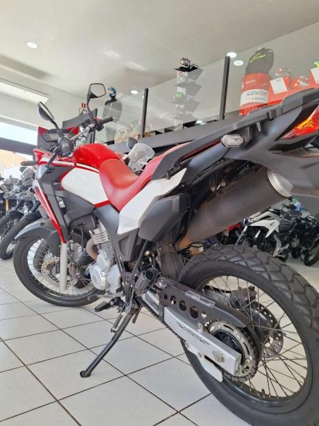 HONDA XRE 300 RALLY ABS, Foto 11