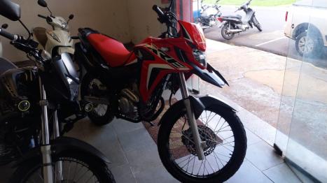 HONDA XRE 300 RALLY ABS, Foto 2