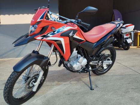 HONDA XRE 300 RALLY ABS, Foto 2