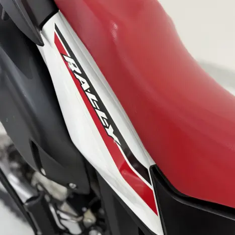 HONDA XRE 300 RALLY ABS, Foto 6